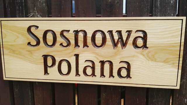 Проживание в семье Sosnowa Polana Białowieża Беловеж-27